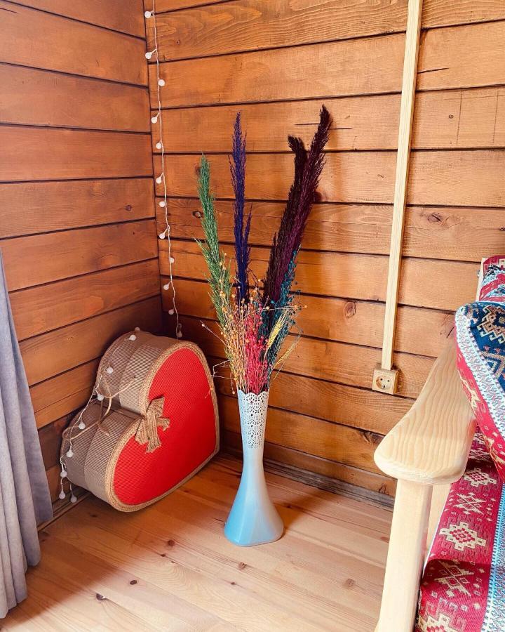 Oce Bungalow Ardeşen エクステリア 写真